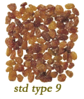 DRIED GRAPE